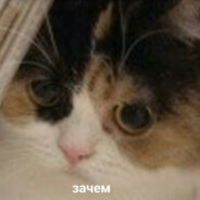 КОТЭЙКА avatar