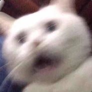 犹豫，就会败北