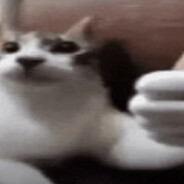 NikitaRed