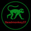 Deadmonkey037