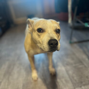 ИБРАГИМ_СТАРШИЙ