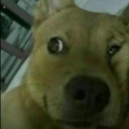 天才散修蔡徐坤