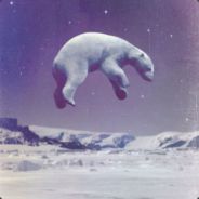 R- - steam id 76561197963246375