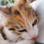 MrSATs avatar