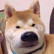 我戴了不算破宝贝