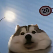 这一枪叫瓦学弟