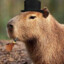 Capybara