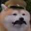 大海豹