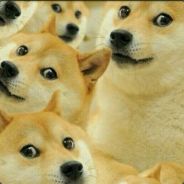 你会被文杰打死的