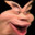 Ficaj