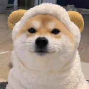 她迷途知返我不为所动。