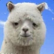 人帅有钱头还硬