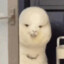 夜夜.