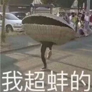 丁生不为逐鹿来，塘门懒筑电烟台