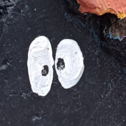 💀 Duch Operacji 💀