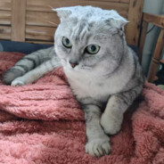 多少楼台烟雨中