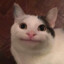 jannahrr