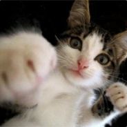 Scooter - steam id 76561197967597048