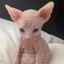 mutant
