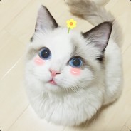 Big Avatar