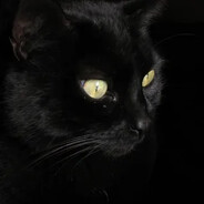 black’s Steam avatar