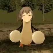 玩家头像
