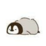 俄罗斯方块猫🐱