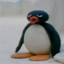 pingu