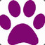 PurpleBear1625