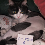 kweezaq