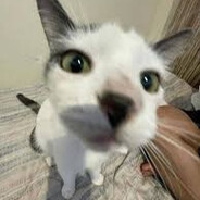 ²²²𝓢𝓽𝓲𝓪𝓷𝓐