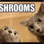 Cpl.Shrooms