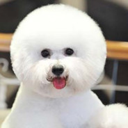 Please Don't Kill Esther-Lee