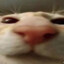GoobieSnoobert