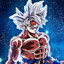 Havok SSJ