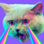 CATFEEDER