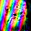 TheCoderCat