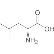 Leucine