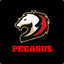 Pegasus Vali