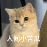 熊猫鸽子汤