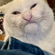 Buongiorno Principessa!