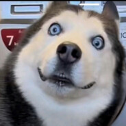 杀我别用感情刀