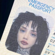 把你眼睛打肿肿