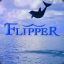 FFlipper