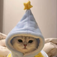 Sora - steam id 76561198206101955