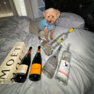 destruyeron a un niño...