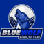 BlueWolf023