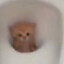 мьяу
