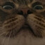 TinyArson