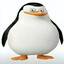 Jay8805